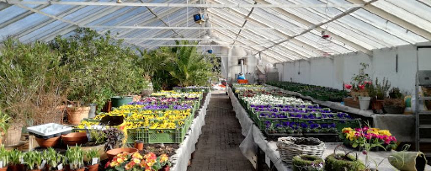 Klimt Gartencenter (Hofladen) und Gala "Am Wasserturm"