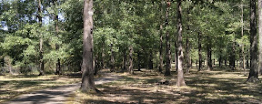 Фордайс Паркс & Рекреэйшен
