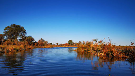 Ngamiland East