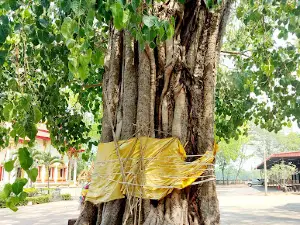 Phra That Don Kaeo
