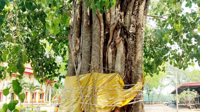 พระมหาธาตุเจดีย์ดอนแก้ว