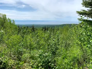 Marten Mountain Viewpoint & Lily Lake Trailhead