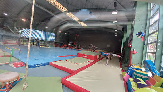 Société de Gyumnastique MDPA Wittenheim