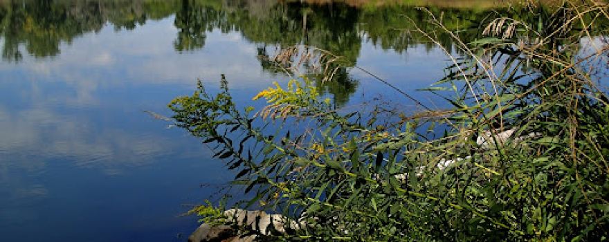 Sandy Channel State Recreation Area