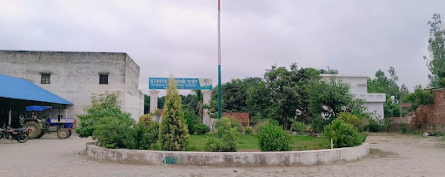Diamond Jansampark