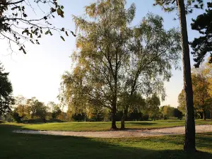 Golf de La Grande Romanie