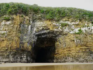 Cathedral Caves