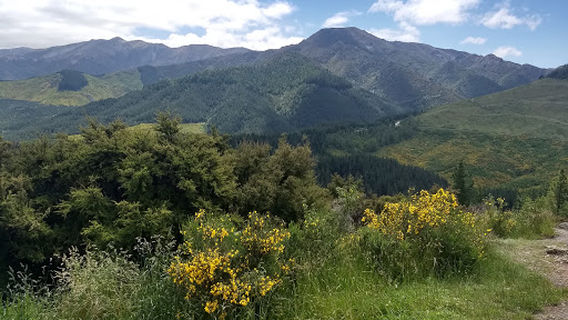 Hanmer Springs
