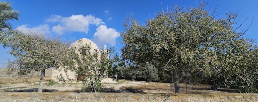 Agios Georgios Arperas