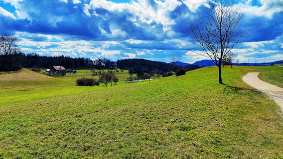Gosgen District