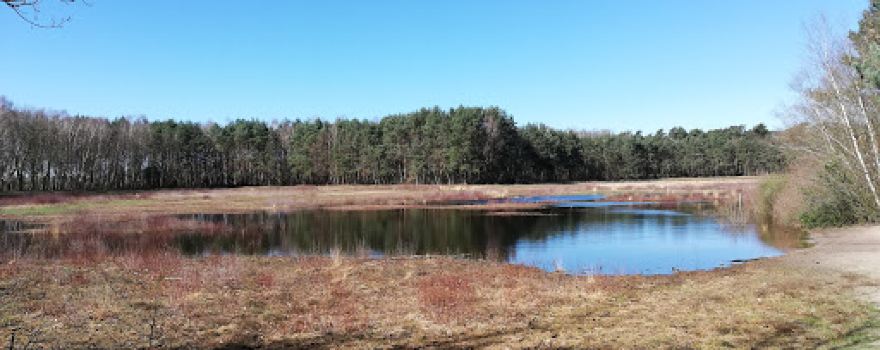 Öhlner See