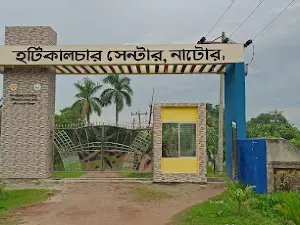 Fulbagan Park, DC's Residence, Natore