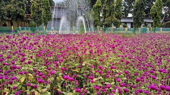 Nilphamari govt college Bodhyo Bhumi