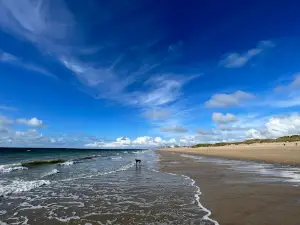 Camping Municipal Les Dunes Coudeville sur mer