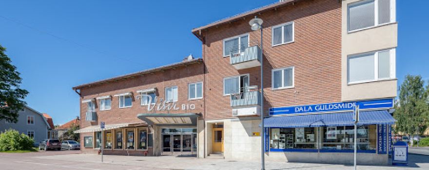 Visir Bio