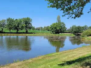 Camping Couleuvre