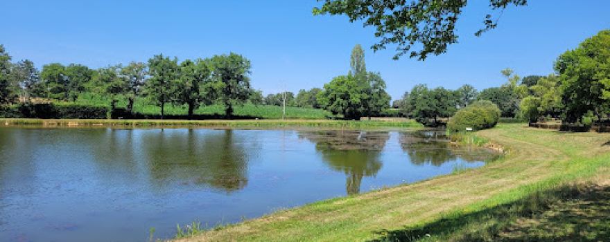 Camping Couleuvre