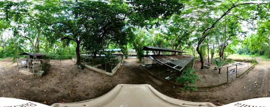Buenaventura Zoo