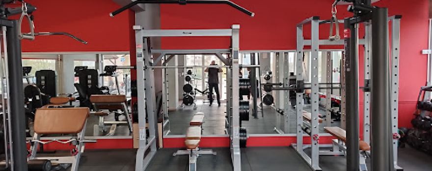 Fitness Gym