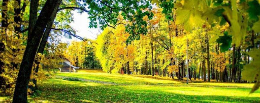 Balvu Pilsētas parks