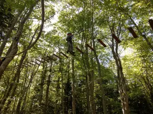 Acr’Oforez, accrobranche Loire (42), parcours arbres Montbrison, tyrolienne