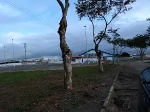 Exhibition Park
