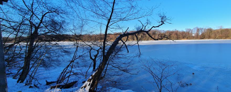Grabauer See