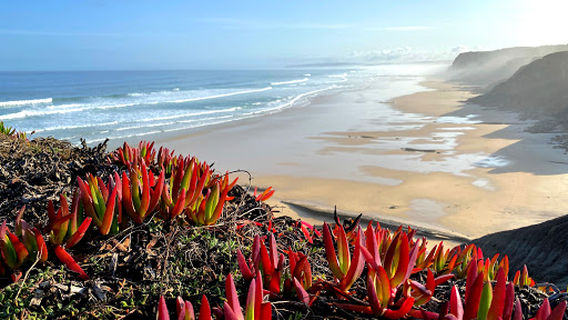 Praia das Pedras Muitas