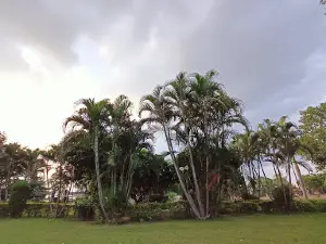 Tagore Park