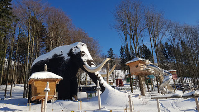 Rope Park Dolni Morava