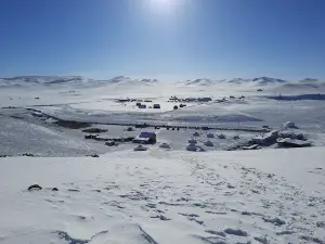 Saraa’s Ger Camp
