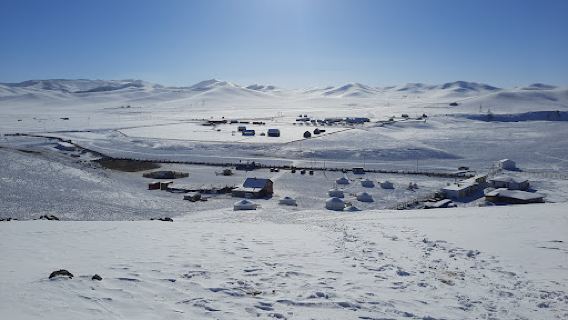 Saraa’s Ger Camp