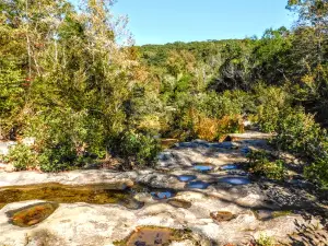 Kings River Falls Trailhead