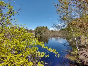 Gowen Park