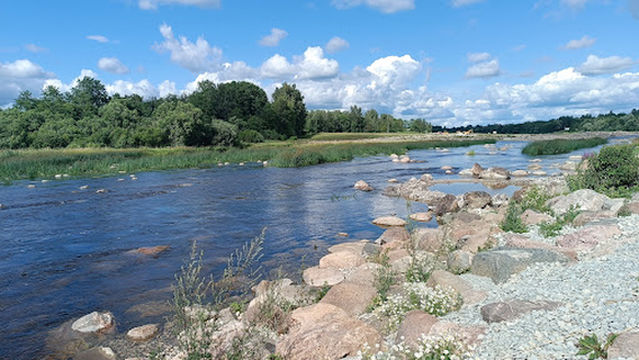 Pärnu River