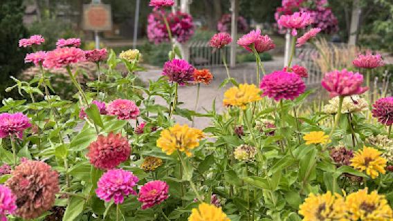 Memorial Park