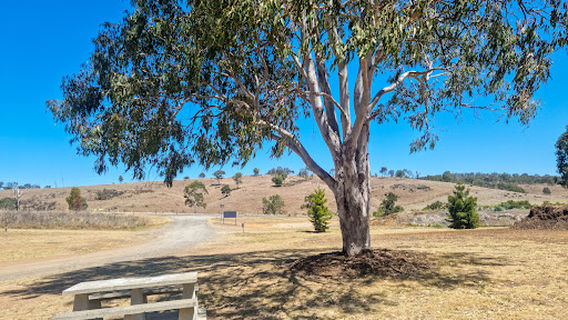 Harland Park Yarraman