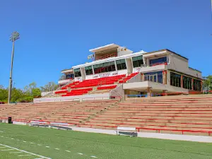 Tiger Stadium
