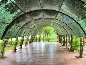 Cầu Treo Sàn Si