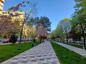 Parcul Bulevard