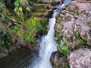 Waterfall The Lion