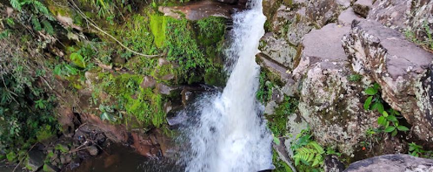 Waterfall The Lion