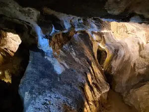 Národní přírodní památka Na Špičáku