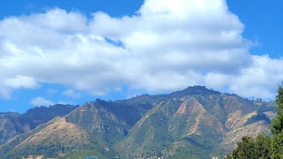 Mount Gurage