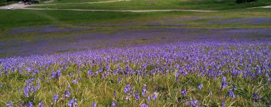 Cotswold Mountain Biking