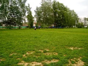Lipen'skiy Stadion