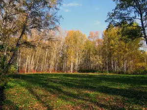 Роща Декабристов