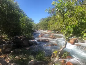 Praia do Pequizeiro