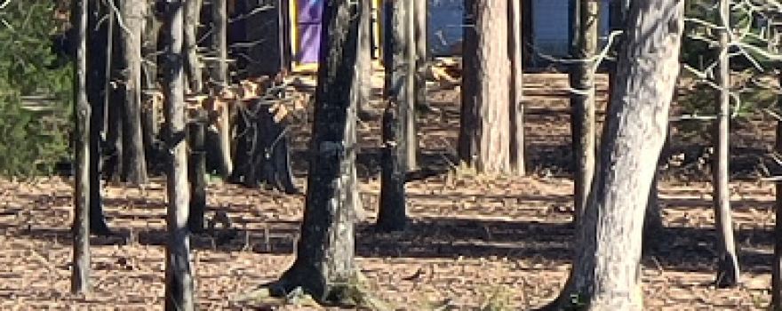 Lucas Pond Disc Golf Course