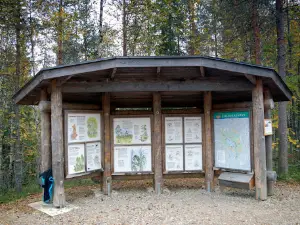Sammakkotammi, Tiilikkajarvi national park